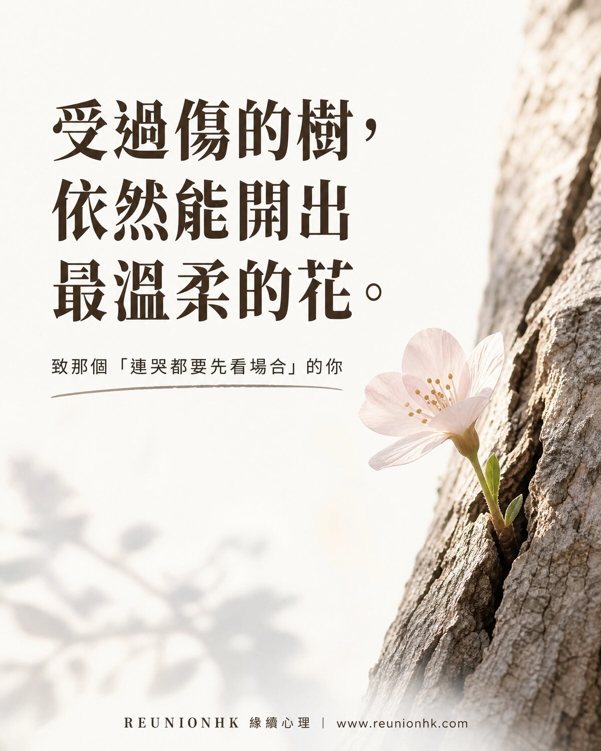 壓抑情緒的人如何真正療癒自己？給那個「連哭都要看場合」的你｜香港心理輔導